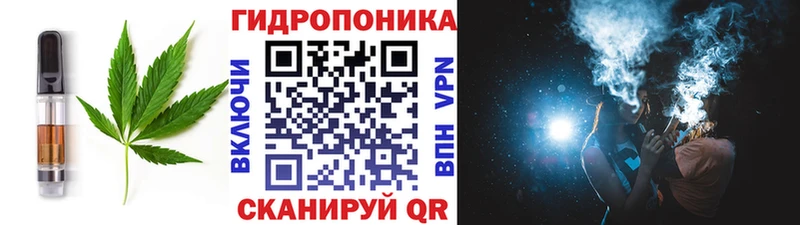 Купить где  Малмыж  Cannafood конопля 