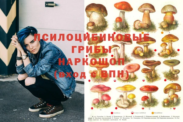 герыч Кодинск