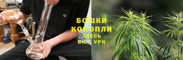 эйфоретик Козельск